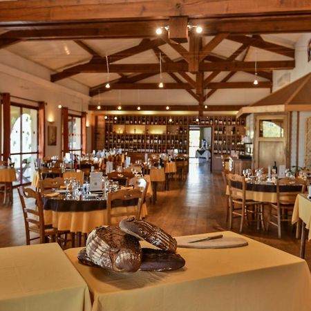 Logis Hotel Restaurant Solenca Nogaro Kültér fotó