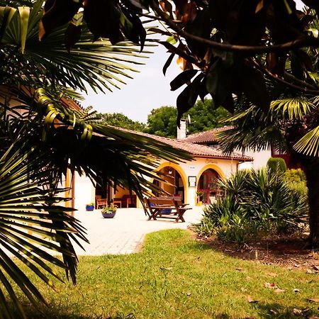 Logis Hotel Restaurant Solenca Nogaro Kültér fotó