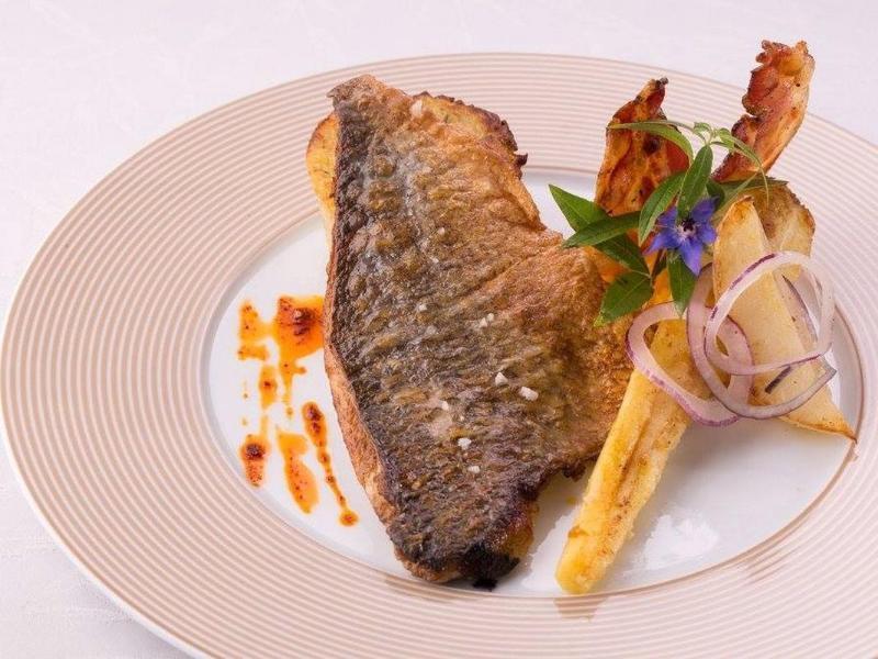 Logis Hotel Restaurant Solenca Nogaro Kültér fotó