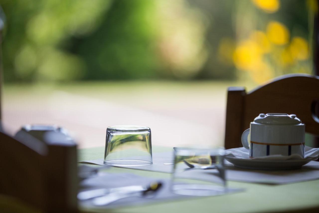 Logis Hotel Restaurant Solenca Nogaro Kültér fotó
